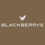 BLACKBERRYS1