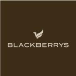 blackberrys logo